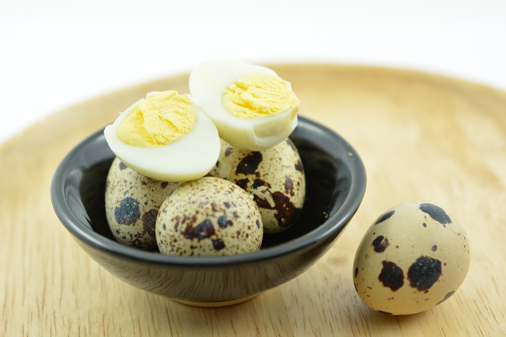 Quail Eggs & Why They're Perfect For Any Homesteader